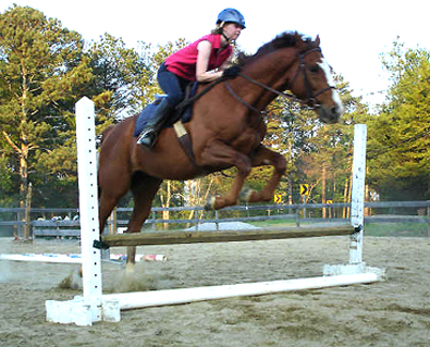 Amanda is retraining her off-the-track Thorougbred to jump. April 22, 2007