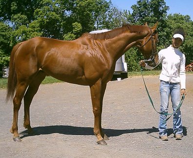 Sir Gregory at home with Shannon Venezia.