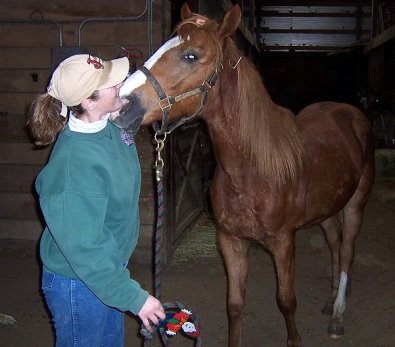 Hollywood Vic tells his mom Becky about being broke to be a race horse. March 2006.