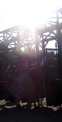 Hollywood Vic is learning to break from the gate. June 2007