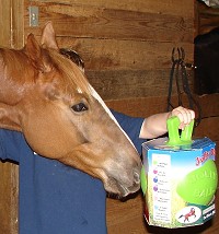 Happy 4th Birthday to Hollywood Vic. Hollywood's big brother Paul give's him his birthday present. Hollywood Vic loves Jolly Balls. March 22, 2008