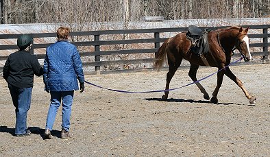 Elizabeth helps new horse owners learn to train their horses.