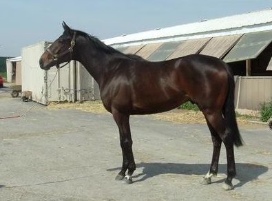 Mr. Mully is now at his new home in Salt Lake City, Utah