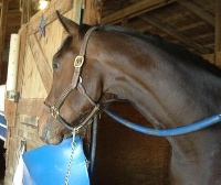 Mr. Mully at the track. April 2006