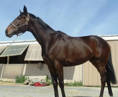 Call for more information.