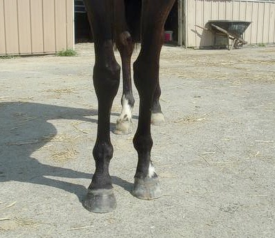 Mully has had his shoes pulled.