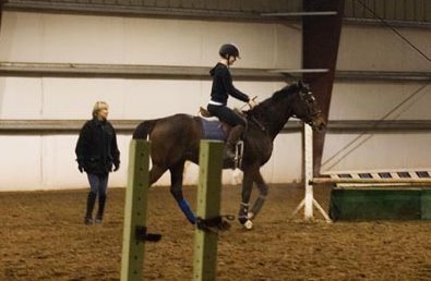 Mr. Mully was a Prospect Horse for Sale in 2006