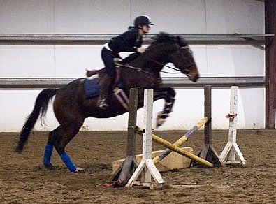 Mr. Mully is learning to jump!