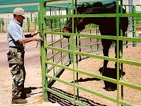 Mr. Mully meets Kristin's grandpa in Texas on his way to Salt Lake City.