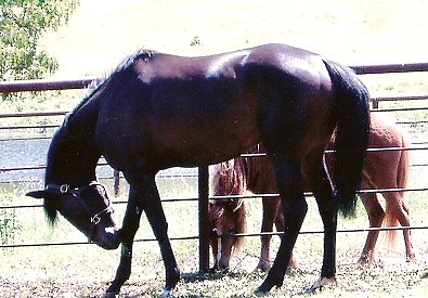 Mr. Mully in Salt Lake City, Utah 