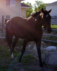 Mr. Mully at home in Salt Lake City, Utah. 