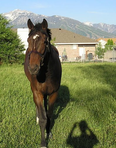 Mr. Mully is ready for his close up!