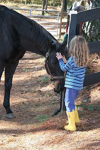 Kylie loving on OTTB Matt's Memo aka "Max". 