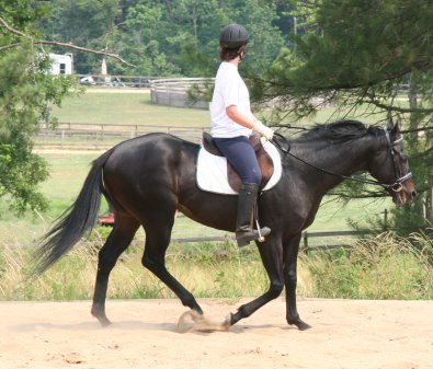OTTB - Matt's Memo's first ride.