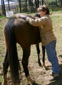 Most Always a Lady meets her new mom.