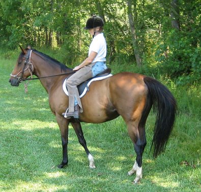 Most Always a Lady - OTTB Trail riding and fox hunting
