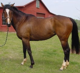 Most Always a Lady aka "Honeymoon"