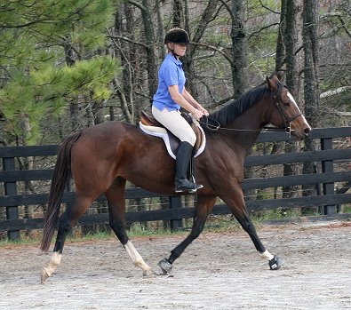 Most Always a Lady - November 17, 2006