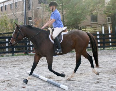 Most Always a Lady - November 17, 2006