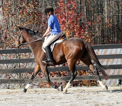 Most Always a Lady - November 17, 2006