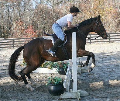 Most Always a Lady - November 17, 2006