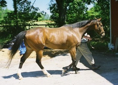 Call for more information.