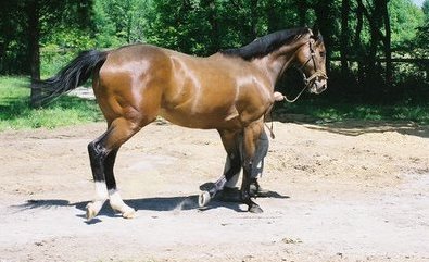 Call for more information.