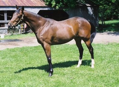 Call for more information.