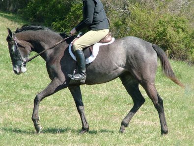 Pretty is now called Tater Tot