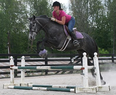 Former Prospect Horse For Sale - She Calls Me Tater aka "Pretty" is now for sale.