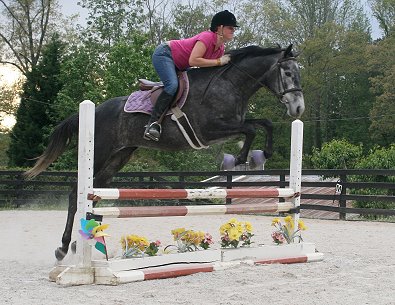 Former Prospect Horse For Sale - She Calls Me Tater aka "Pretty" is now for sale.
