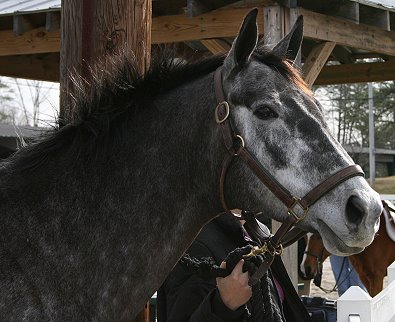 "Pretty" is living up to her name.