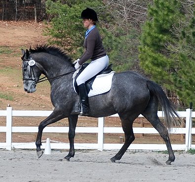 Pretty aka She Calls Me Tater also won her Training Level Test 1 at the Sonora Farms. 