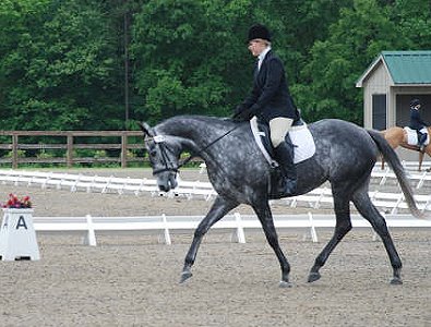 Pretty aka "Tater Tot" scored a 30.5 in her dressage test. May 3, 2008