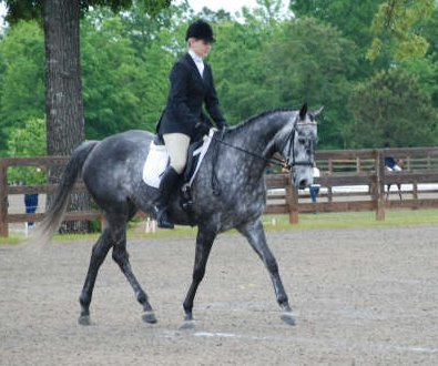 Pretty aka "Tater Tot" was one of our 25 Special Horses in December 2005.