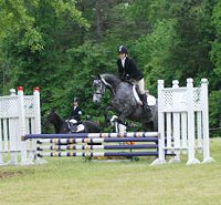 Pretty aka "Tater Tot" was one of our 25 Special Horses in December 2005.