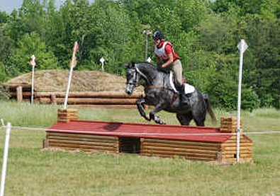 Pretty aka "Tater Tot" was one of our 25 Special Horses in December 2005.