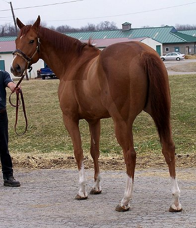 Call for more information.