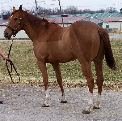 Call for more information.