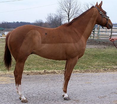 Call for more information.