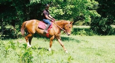 Project One trail riding at the farm.