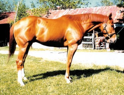 Call for more information.