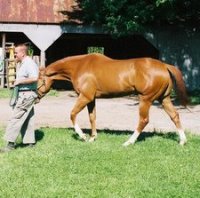 Call for more information.