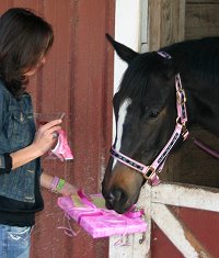 Cosmos and Carrots - A one year celebration! - March 5, 2006