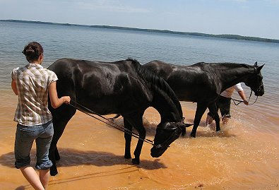Roman Ripples is a dream come true for Amye.