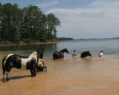 Roman Ripples trusted Amye enough to follow her into the lake.