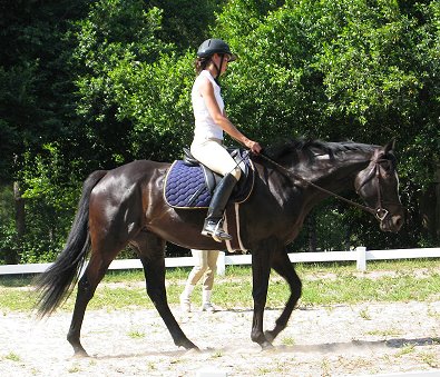 Roman Ripples belongs to Amye Morris.