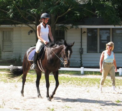 Roman Ripples attended a dressage clinic with Pam Schwartz