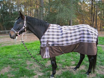 Roman Ripples in her new blanket. December 3, 2007
