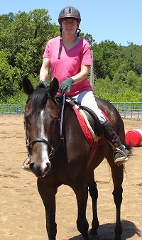 Former Propsect Horse for Sale - Storm Shooter with Dr. Paula Chor.